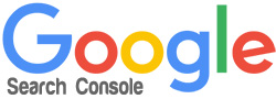 Google 1